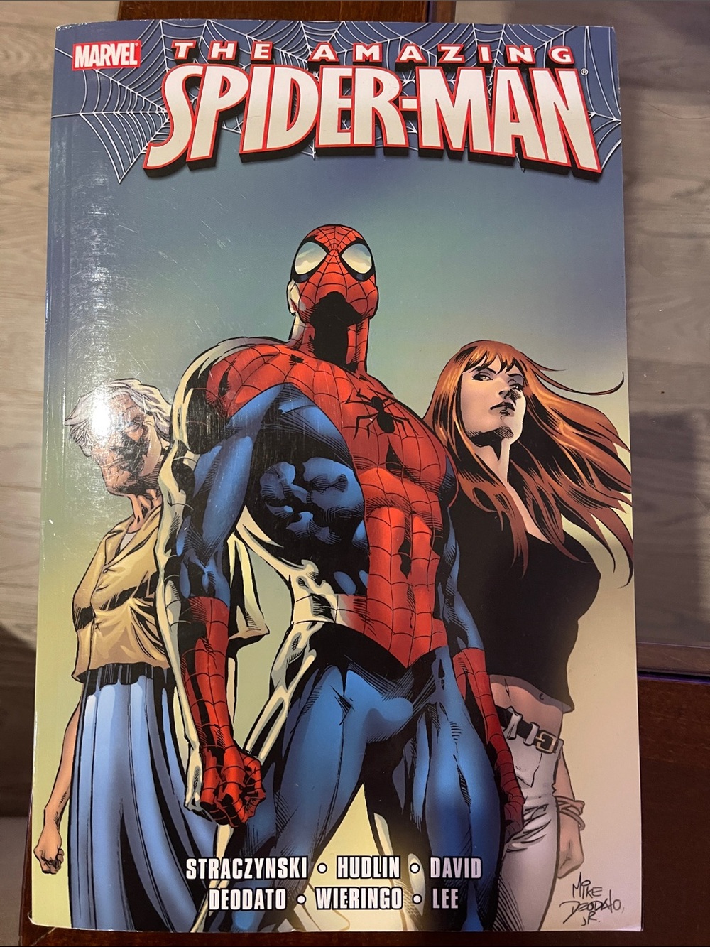 Marvel Spider-Man Home Art Poster - Red, Blue, Black